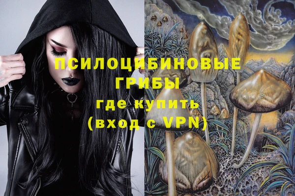 прущие крисы Армянск
